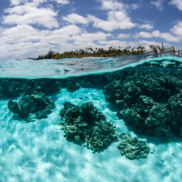 New Caledonia