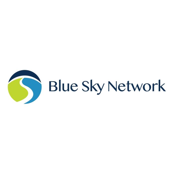 BSN-NAL SL5100-LM-SCN Skylink 5100 Land Mobile Data Gateway Scan Antenna Kit (SL5100-LM-SCN)
