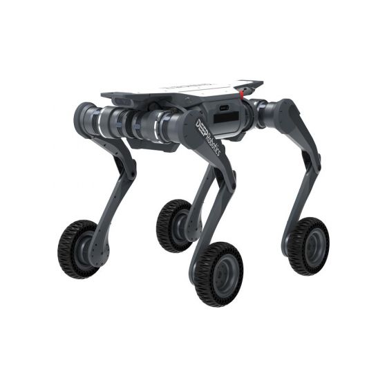 Deep Robotics LYNX All-Terrain Quadruped Robot Dog